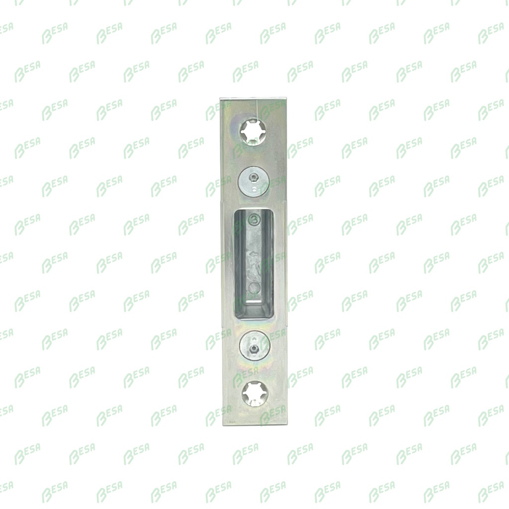 GU 6-31111-00-0-1 SLUITPLAAT VOOR AUTOMATIC