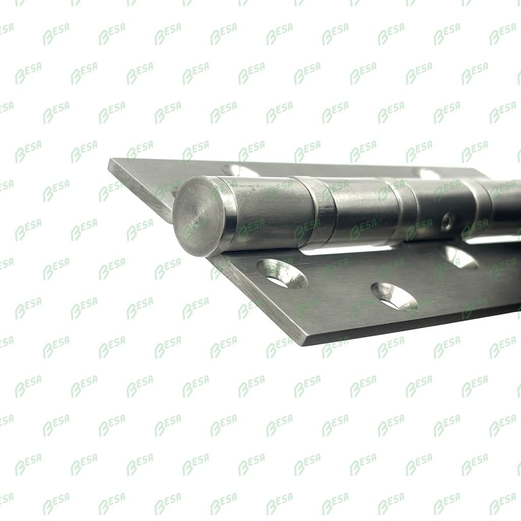 BESA INOX KOGELLAGERSCHARNIER