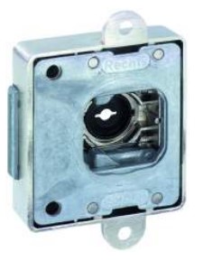 JUNIE 1881 ASS OPLEGSLOT