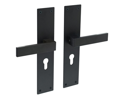 INTERSTEEL AMSTERDAM KRUKKENPAAR OP SCHILD MET PROFIELCILINDERGAT